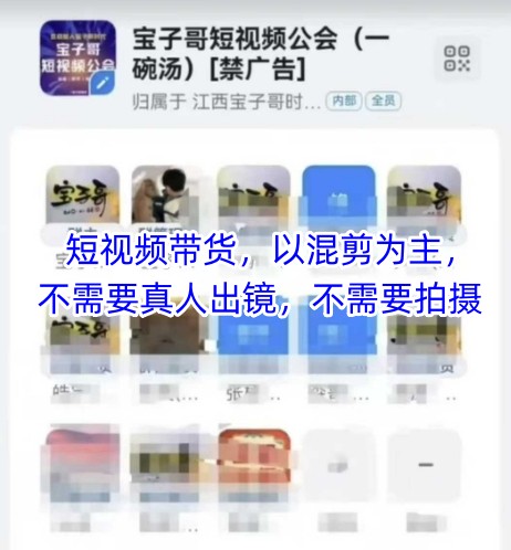 宝子哥头部团队短视频带货，以混剪为主，不需要真人出镜，不需要拍摄【更新8月】-得贵网赚