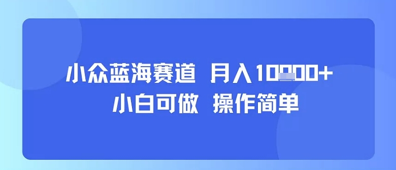 小众蓝海赛道，小白可做，操作简单，每天30分钟，月入1W+-得贵网赚
