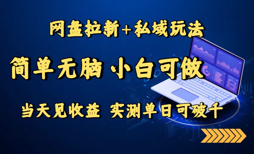 网盘拉新+私域玩法，简单无脑，小白可做，当天见收益，实测单日可破千-得贵网赚
