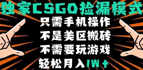 CSGO自动捡漏项目，最新独家玩法，不是美区搬砖，不需要了解和玩游戏，新手小白轻松月入1W+【揭秘】-得贵网赚