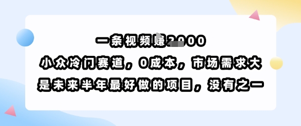 一条视频挣1k，小众冷门赛道，0成本，市场需求大，是未来半年最好做的项目，没有之一-得贵网赚