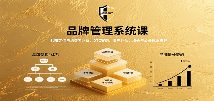 品牌管理系统课：战略定位与消费者洞察，DTC案例、资产评估，增长与公关体系搭建-得贵网赚