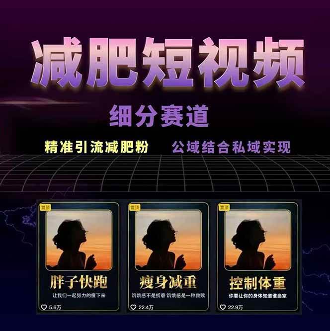 图片[2]-减肥短视频运营实战课：含素材制作、剪映教学，讲精准引流、变现设计与内容模板技巧-得贵网赚