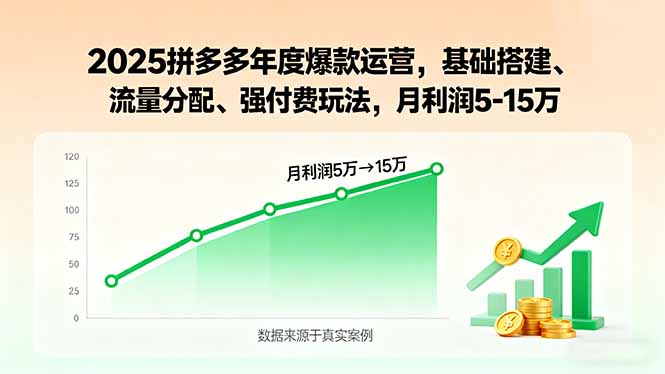 2025拼多多年度爆款运营，基础搭建、流量分配、强付费玩法，月利润5-15万-得贵网赚