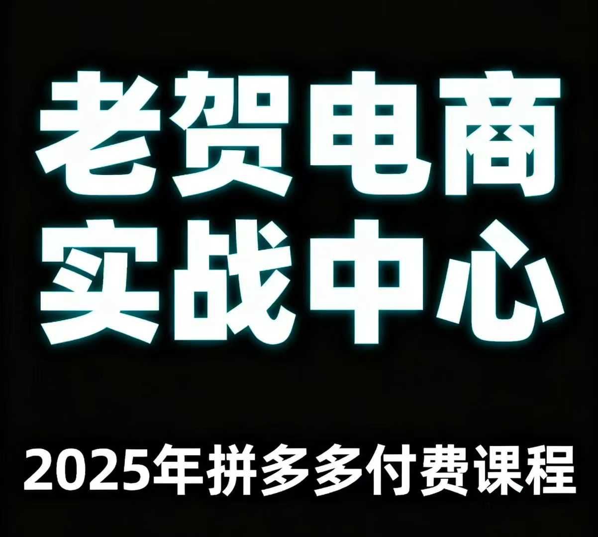 老贺电商2025年拼多多付费课程，用通俗易懂的方法告诉你多多怎么玩-得贵网赚